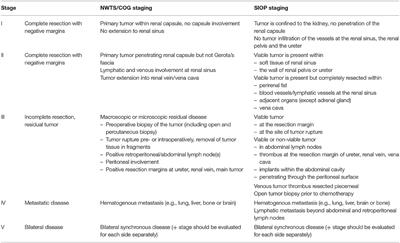 Multidisciplinary Treatment Strategies for Wilms Tumor: Recent Advances, Technical Innovations and Future Directions